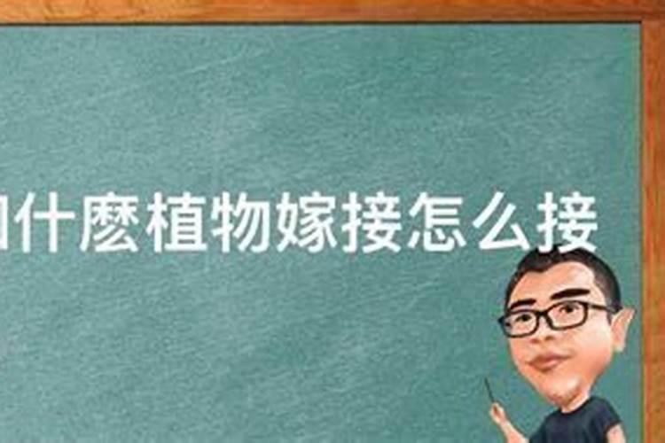 花肥里有山梨酸钾能浇花吗？