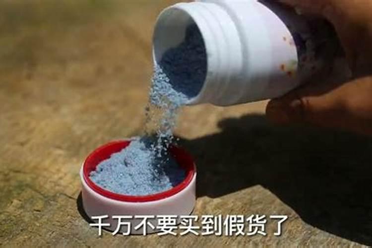 施什么肥可以促进开花