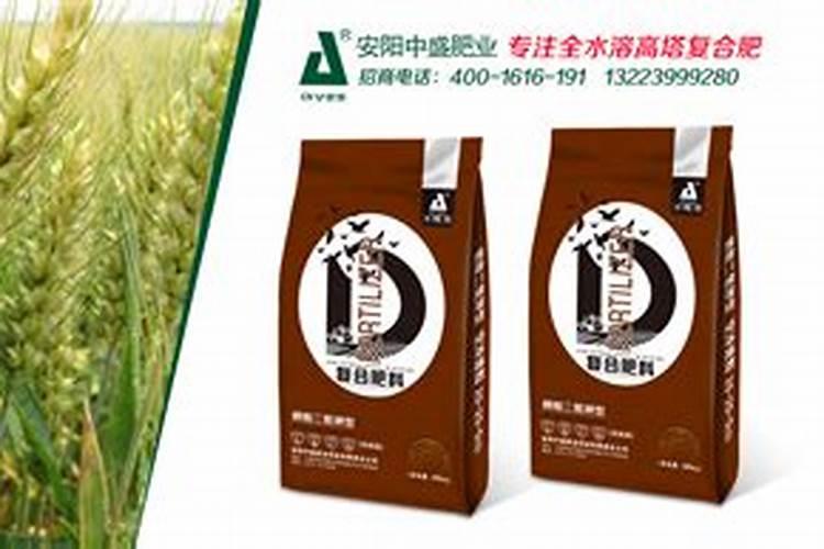 白杨树用什么肥料长的最快？