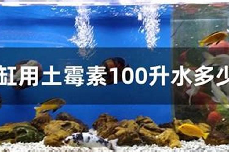 红掌的种植方法