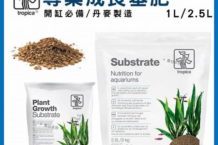 水草必须用液肥吗