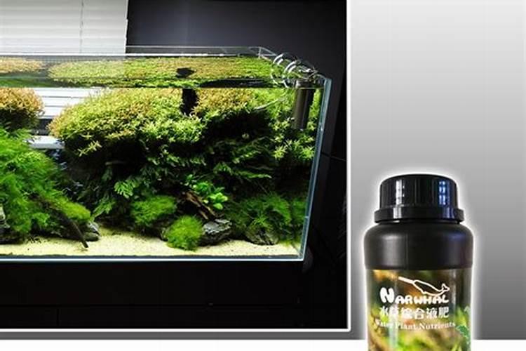 水族草缸装备都需要什么？