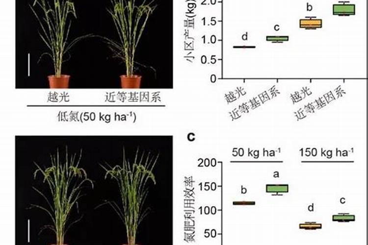 ...治虫、施肥等生产活动.根据生态学的原理,分析回