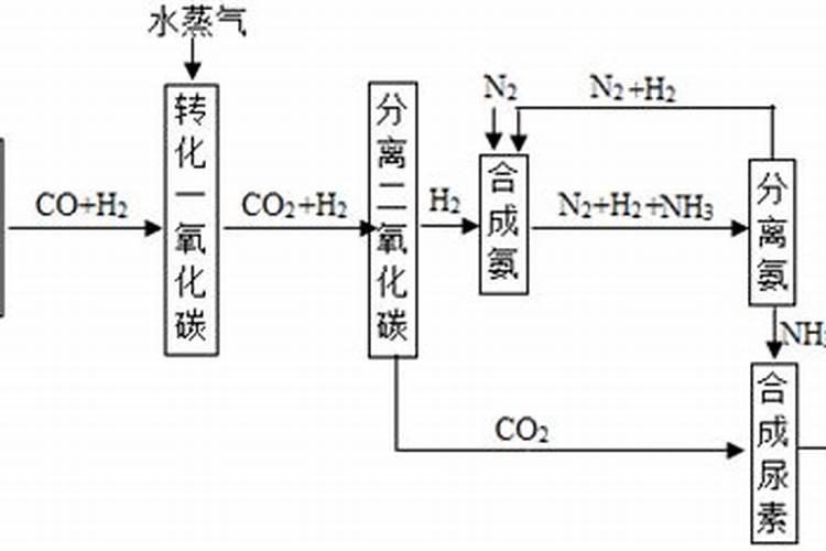 尿素属于硝态氮还是铵态氮？
