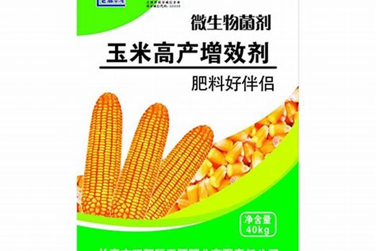 玉米专用肥料是什么呢？