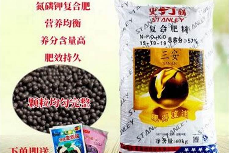 十二生肖什么动物肥得流油？