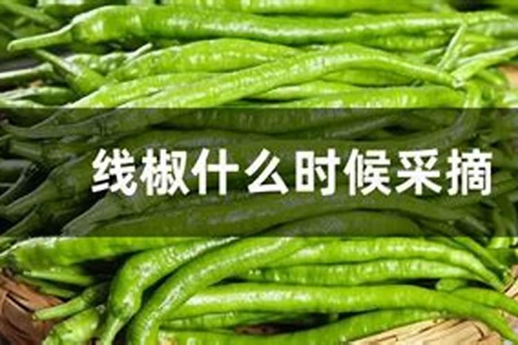控释肥和控释肥一样吗