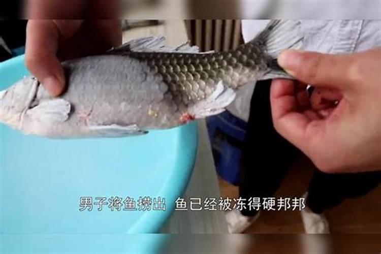 氮气都有什么作用？