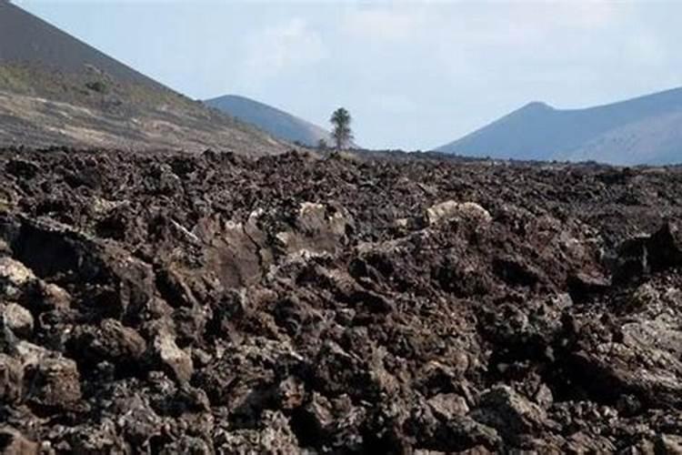 火山灰为什么能让土壤变肥沃,火山灰为什么能让土壤变肥沃呢