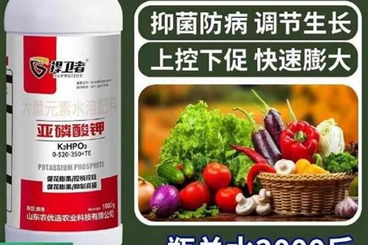 钾肥的作用及功能