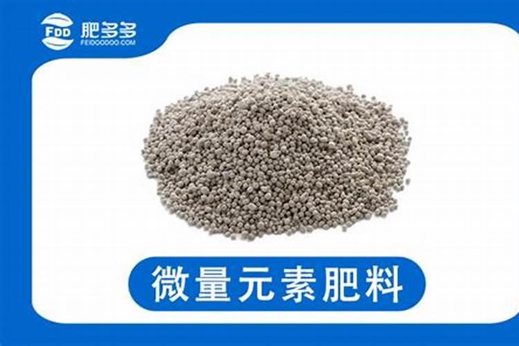 种植葡萄需要什么肥料