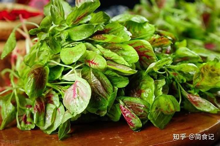 圣果的施肥常识