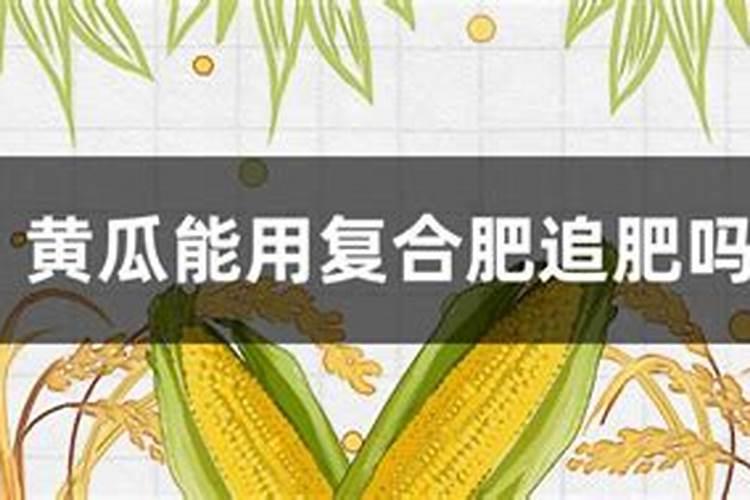 种黄瓜要什么底肥复合肥