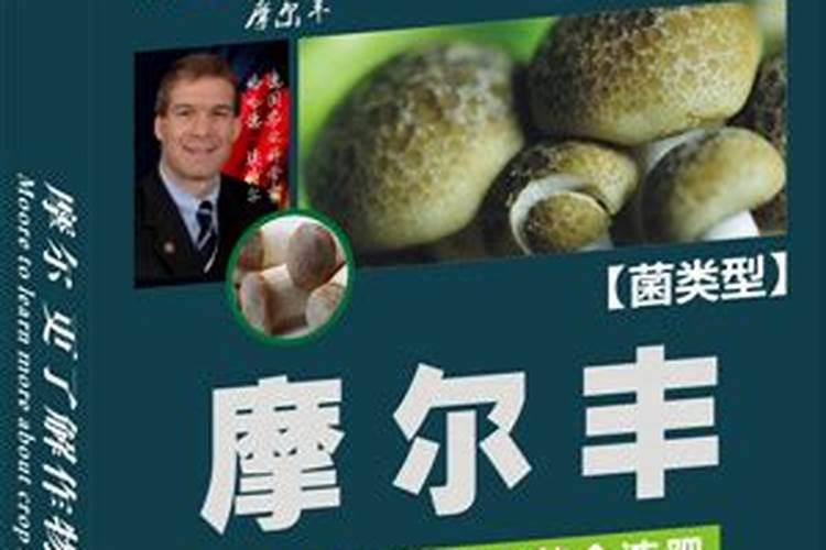金土地葡萄专用肥:结合国内外最新生物科技的新型液体有机复合肥