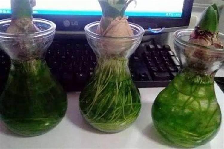 金银花适合什么土壤种植