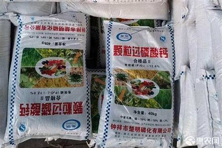 过磷酸钙可以应用在果树上吗