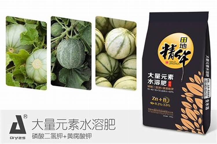 甜瓜刚坐瓜,就化了,什么原因啊？急