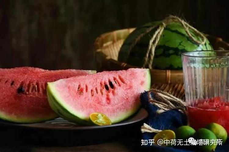 西瓜什么时候冲施钙肥？