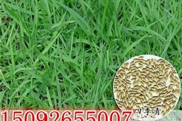 如何科学施用水溶肥？