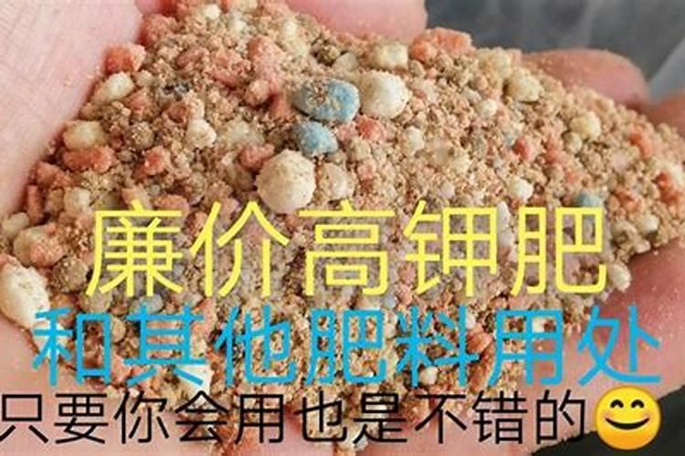 下雨前施肥还是下雨后施肥
