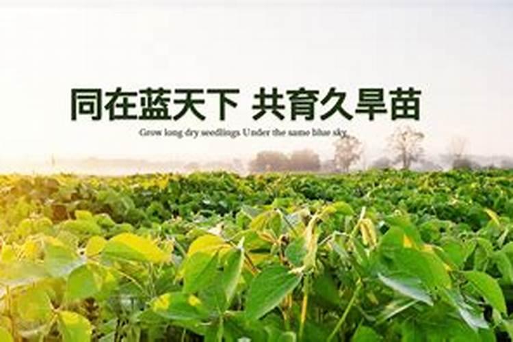 中国水溶肥十大品牌