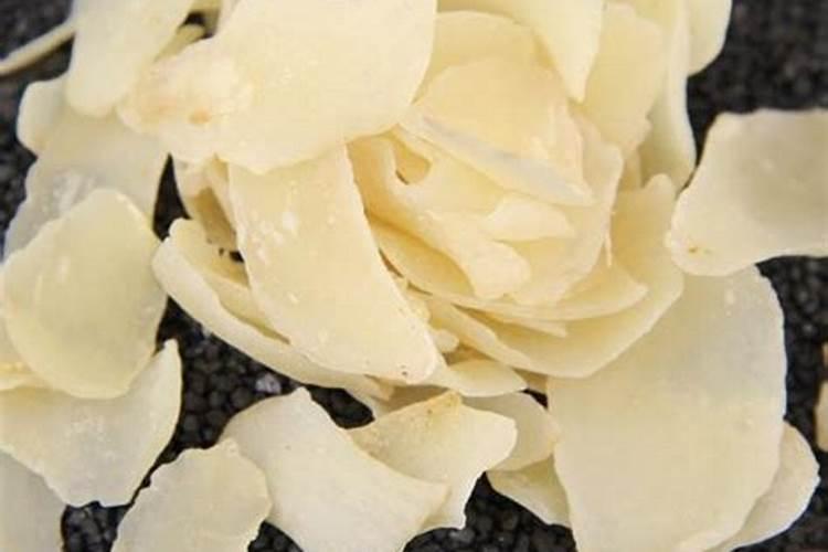 百合花的根部叶黄了怎么办