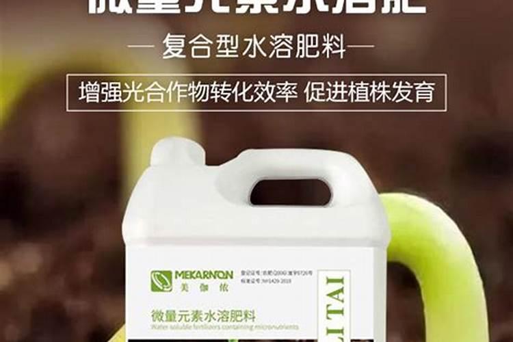 小麦后期喷什么微肥增产增重？