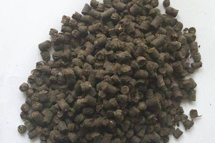 哪些植物适合氮肥