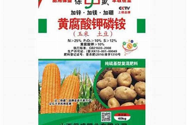 地膜种土豆怎么种