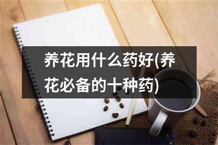 花叶子发黄缺什么肥料(花叶子发黄是缺水还是浇水太多)