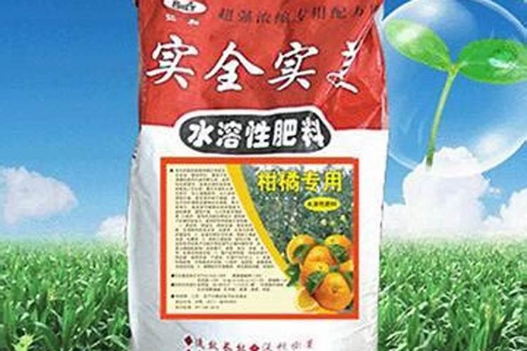天脊16620硝酸钾水溶肥的批发价格是多少？