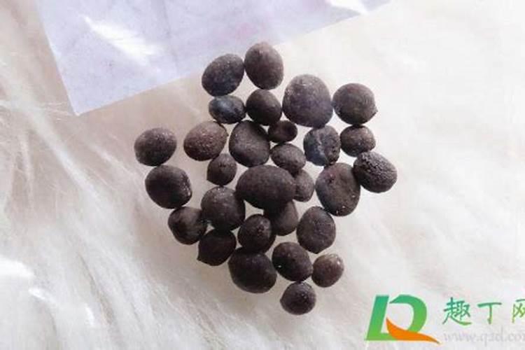 钾含量较高的食物有哪些