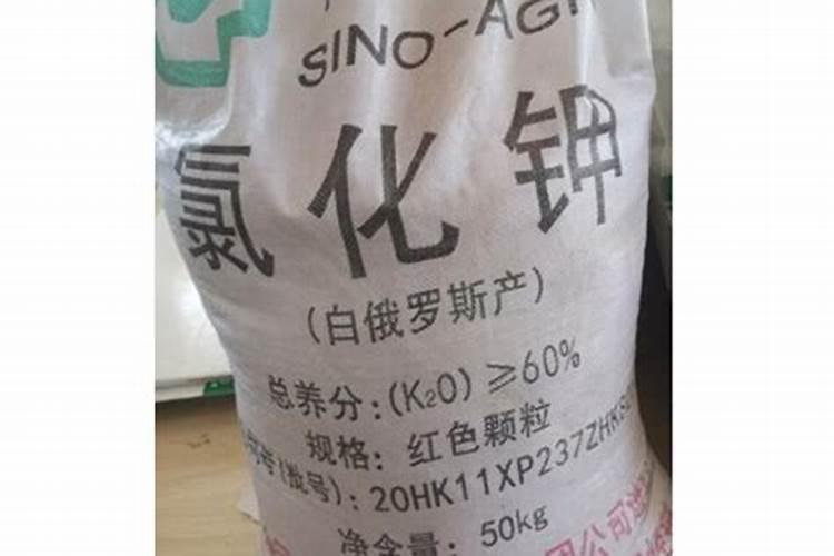 中农亚钾国际是国企吗