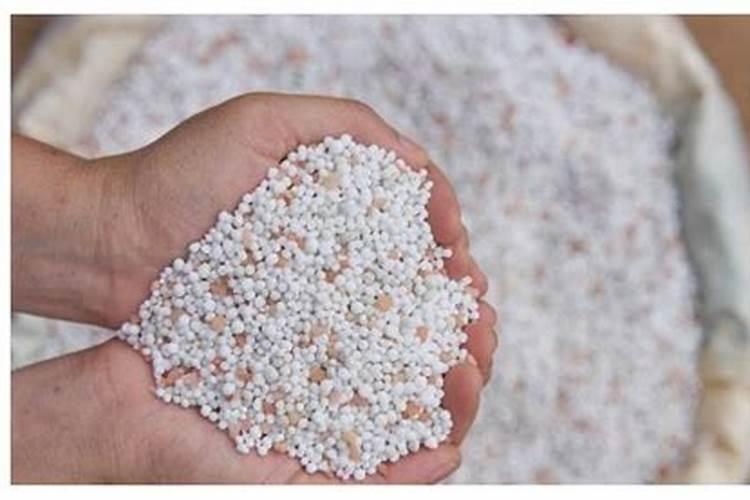 水栽蒜苗加什么肥料