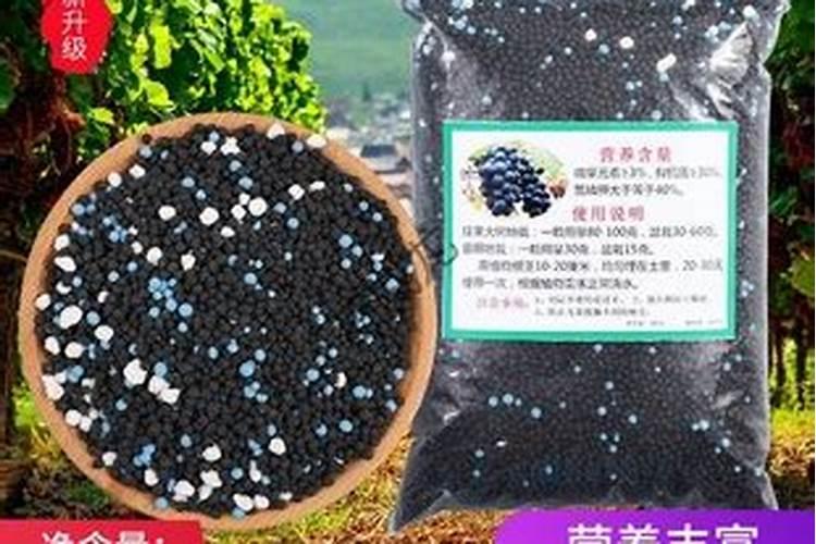 葡萄怎么施肥 葡萄养殖方法