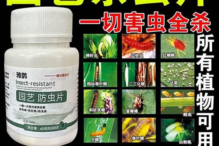 园艺防虫片水果树下能用吗有毒性吗？