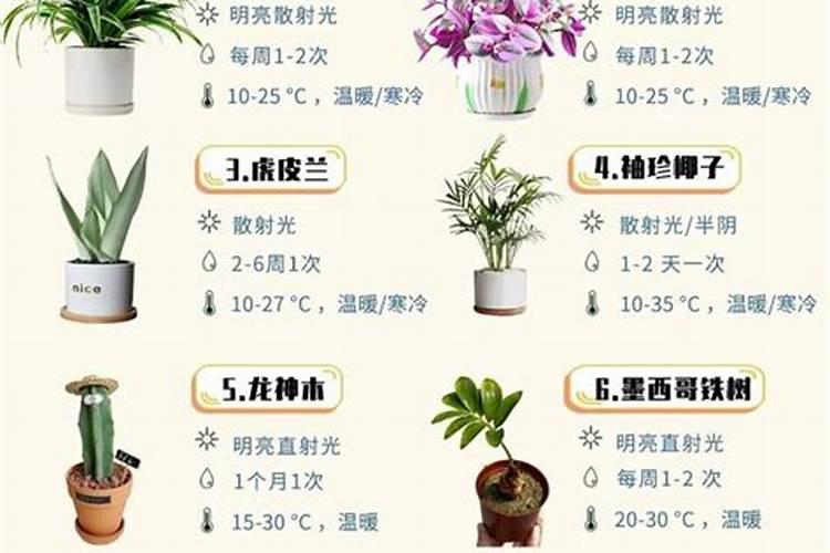 草木灰适合哪些植物 草木灰是什么