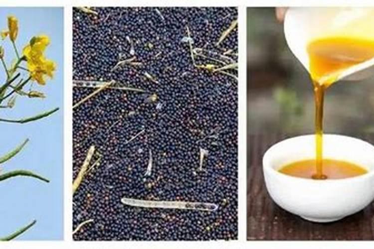 磷肥用于什么农作物,附使用方法