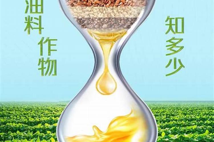 油菜用什么肥料最好高产