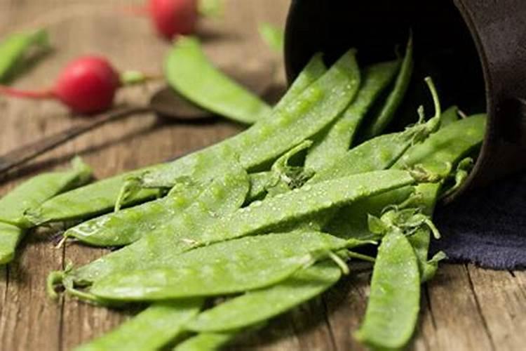 种荷兰豆开花了加什么肥料可以加尿素吗