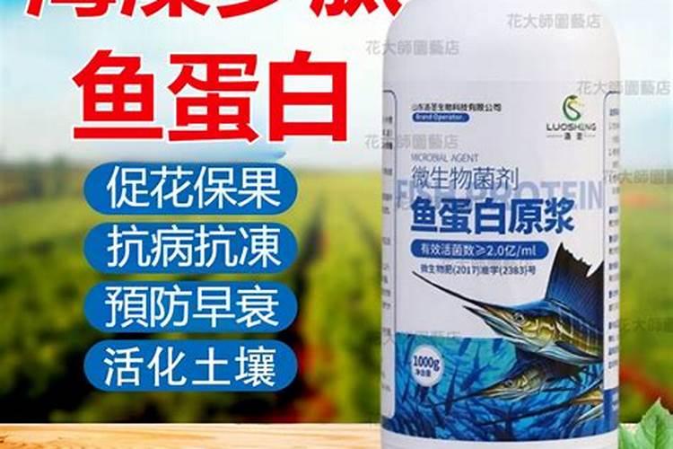 吃什么能养生防早衰？