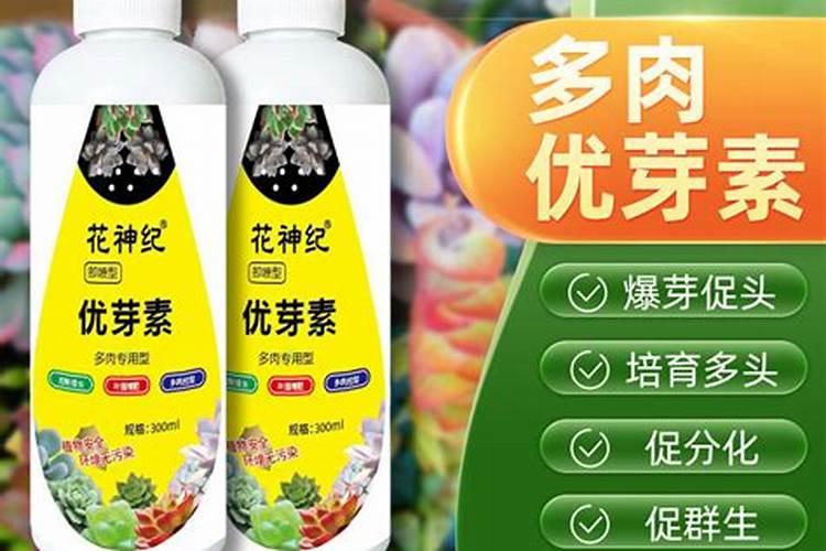 叶面肥是什么肥料 给你详细讲解