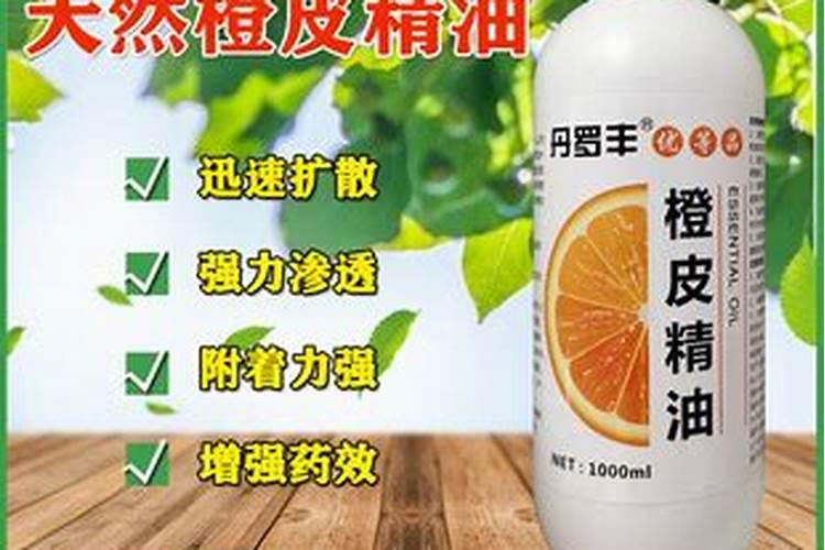 建兰的移栽时间和方法