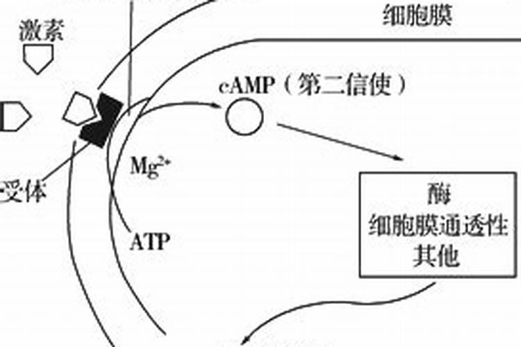 液态氮肥是什么