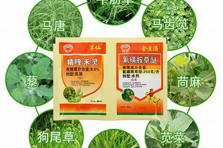 大豆打完除草剂多久可以打叶面肥水？