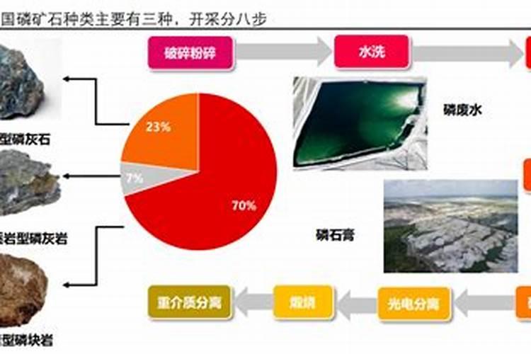 幸福树用什么肥料最好