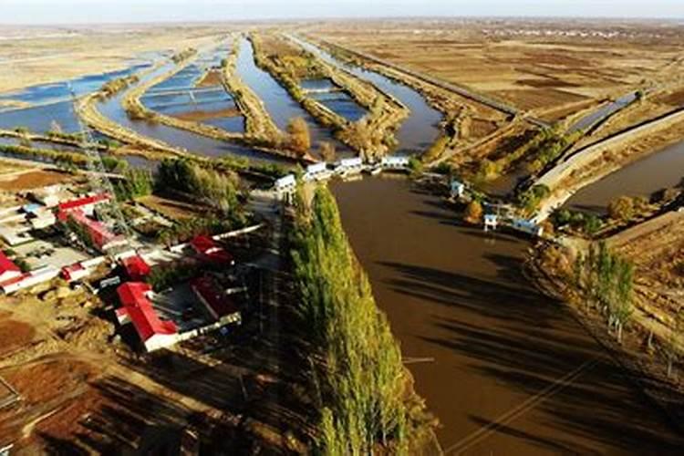 土壤次生盐碱化的原因及措施