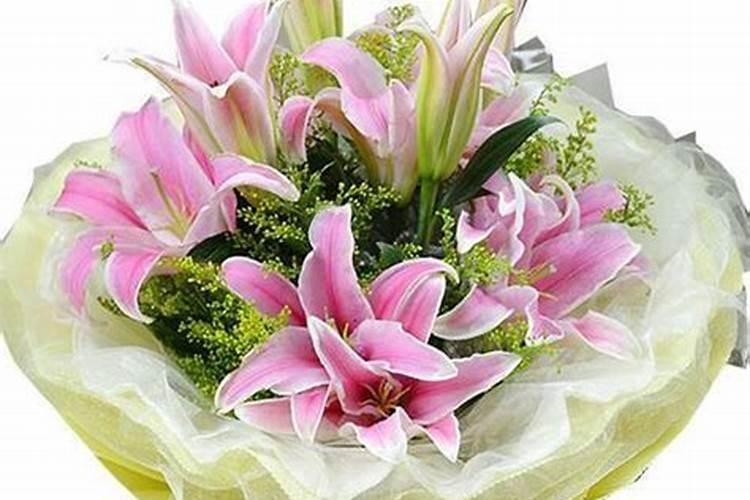 百合的禁忌与副作用 百合的功效与作用