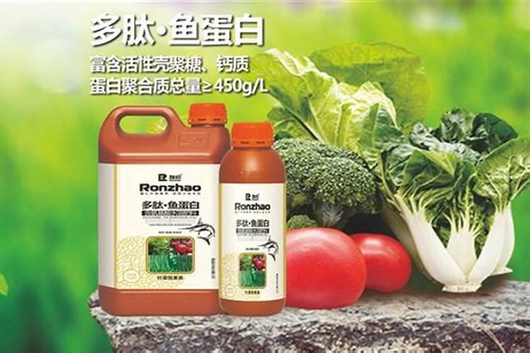 国外进口的叶面肥品牌都有哪些