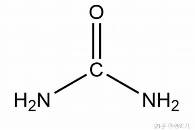 鱼蛋白最忌三种肥料